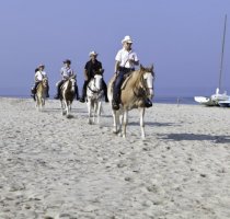 Horse Country Resort Congress & SPA Arborea